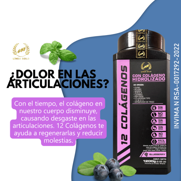 12 COLÁGENOS PREMIUM 1200gm - Image 8