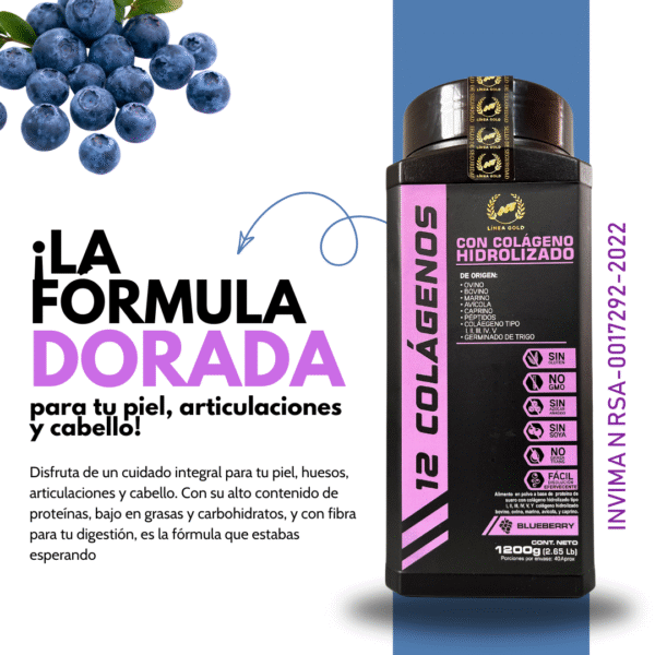 12 COLÁGENOS PREMIUM 1200gm - Image 10