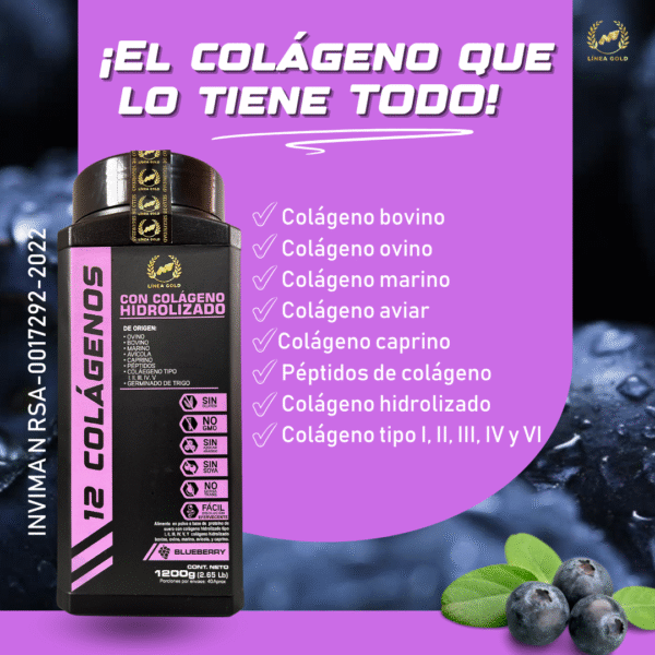 12 COLÁGENOS PREMIUM 1200gm - Image 7