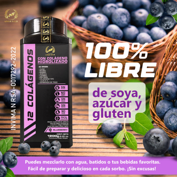 12 COLÁGENOS PREMIUM 1200gm - Image 6