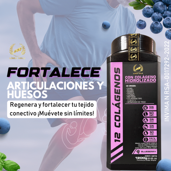 12 COLÁGENOS PREMIUM 1200gm - Image 5