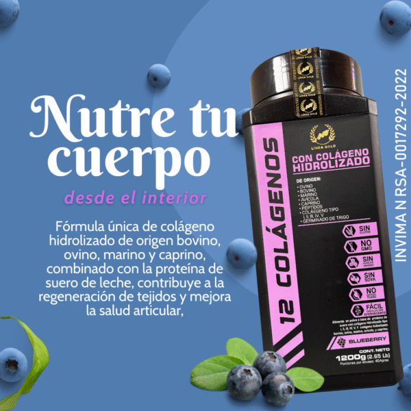12 COLÁGENOS PREMIUM 1200gm - Image 4