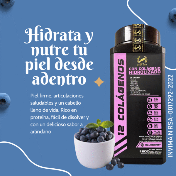 12 COLÁGENOS PREMIUM 1200gm - Image 3